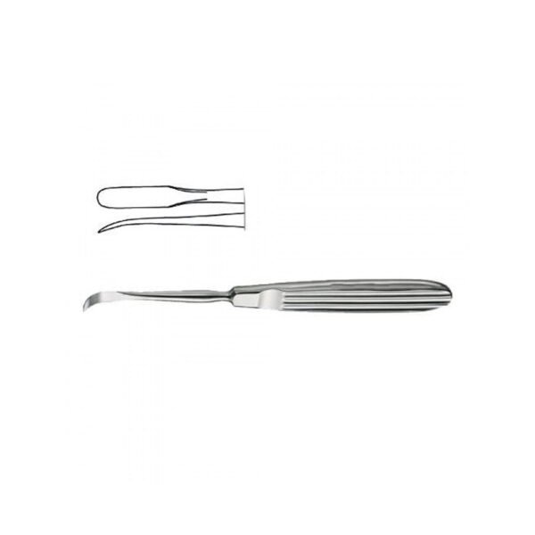 Daniel Gubisch Raspatory - Curved | NJ Medical Instruments