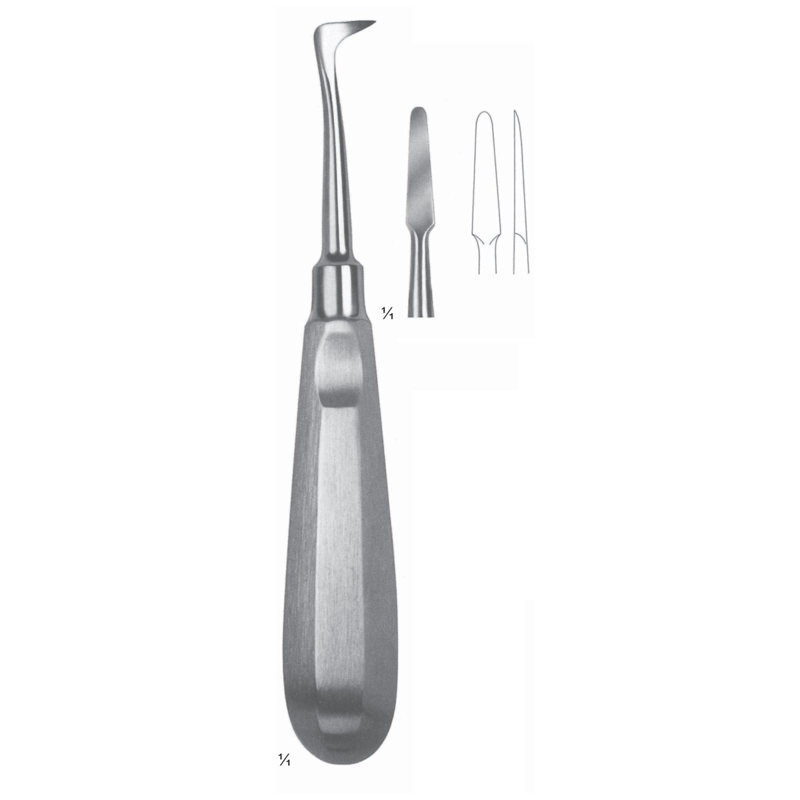 Seldin Root Elevators Fig 2 | NJ Medical Instruments Seldin Root Elevators Fig 2 | NJ Medical Instruments