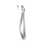 Fig. 17 Upper Molars, Right