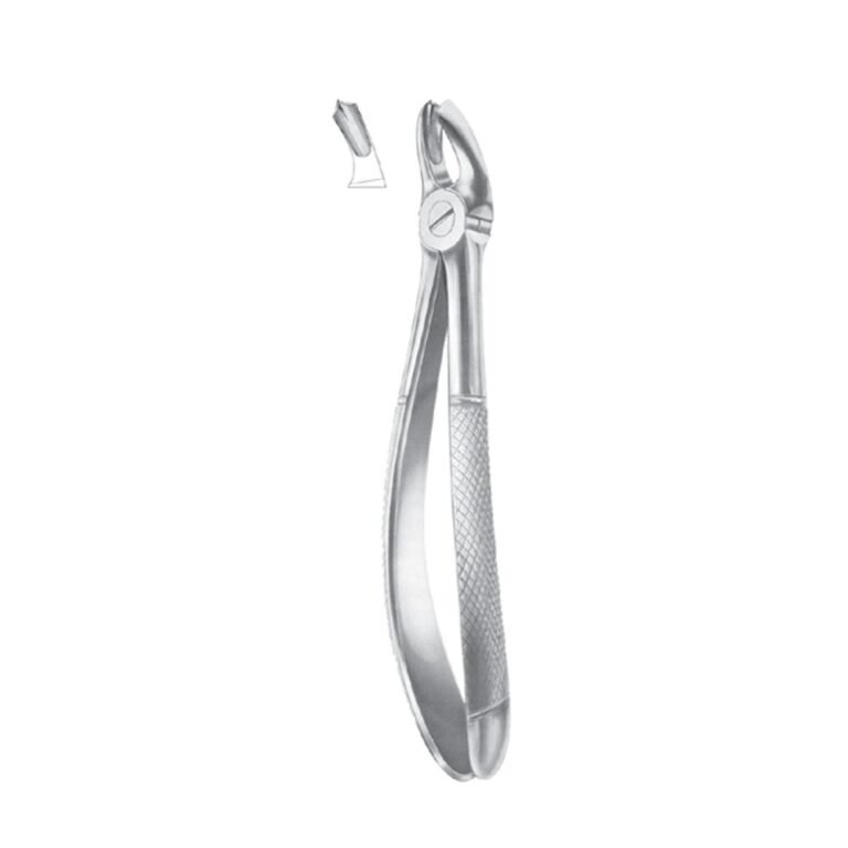 Fig. 17 Upper Molars, Right | NJ Medical Instruments
