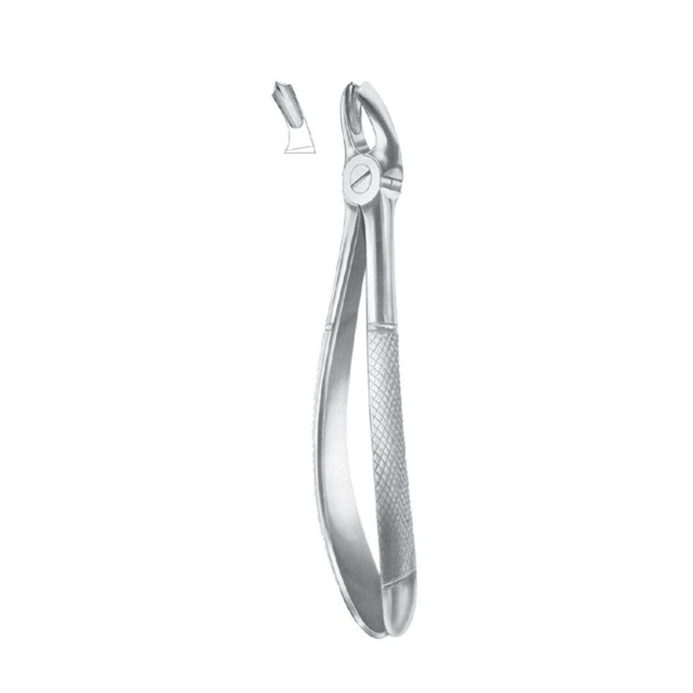 Fig. 17 Upper Molars, Right | NJ Medical Instruments Fig. 17 Upper Molars, Right | NJ Medical Instruments
