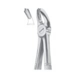 Fig. 18A Upper Molars