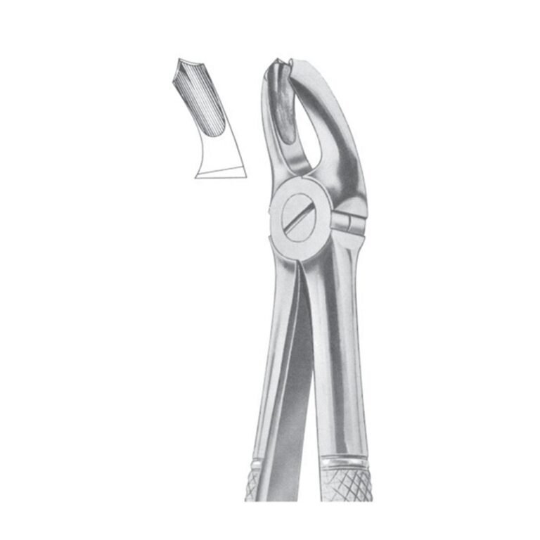 Fig. 18A Upper Molars