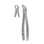 Fig. 8, Lower Premolars