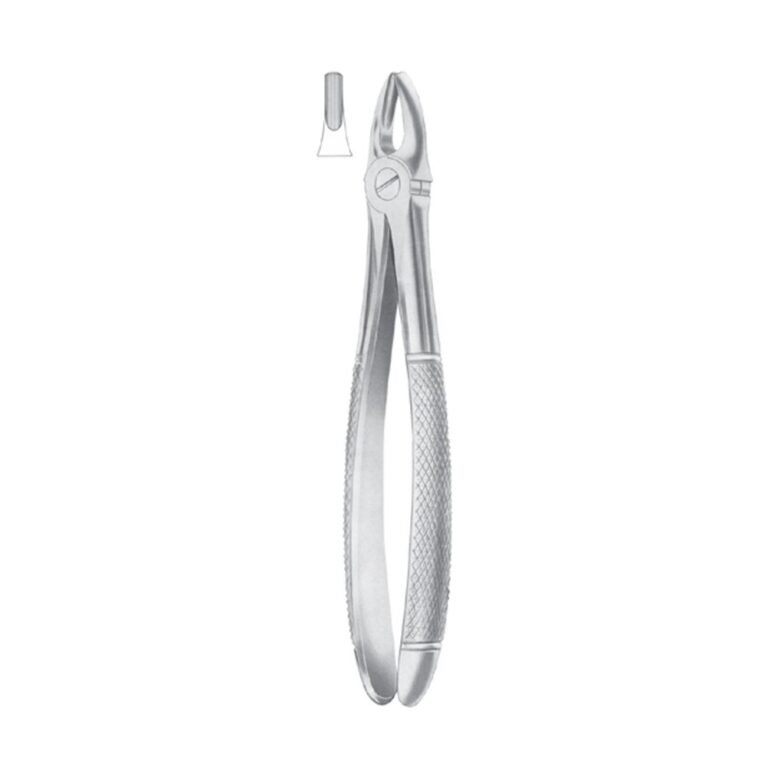 Fig.1 Upper Centrals & Canines