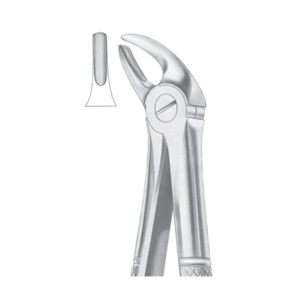 Fig. 4 Upper Incisors & Canines | NJ Medical Instruments