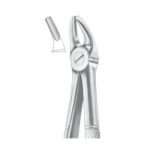 Fig. 7 Upper Premolars