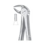 Fig. 13 Lower Premolars