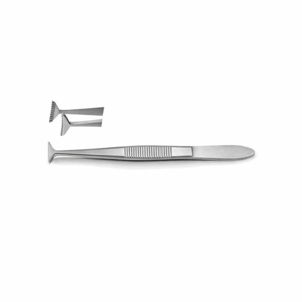 Converse (Green) Eye Fixation Forceps | NJ Medical Instruments