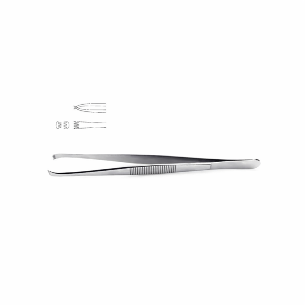 Stone Tissue Forceps - 5x6 teeth | NJ Medical Instruments