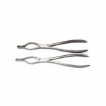 Walsham Septum Straightening Forceps